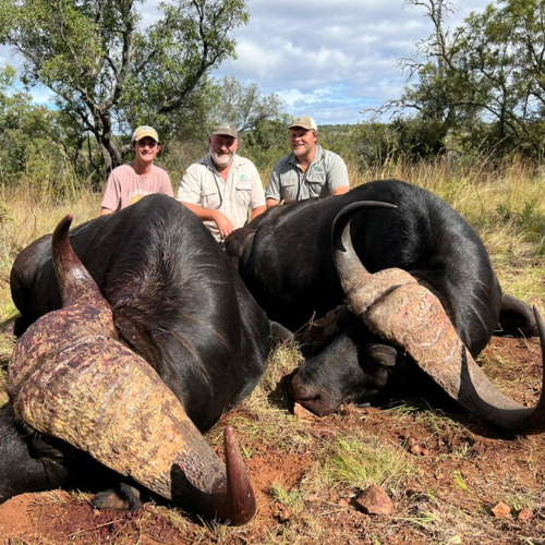 Trophy hunt Limpopo