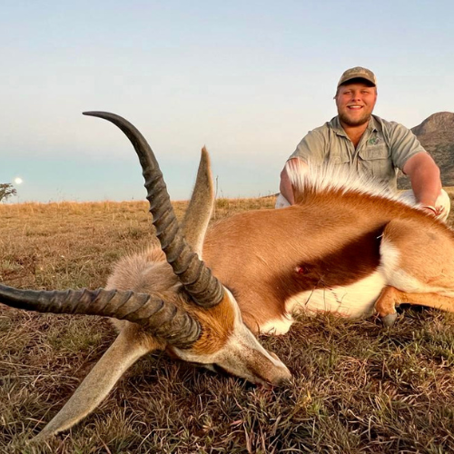 Early morning hunt