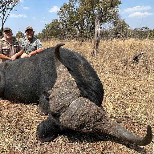 African wilderness