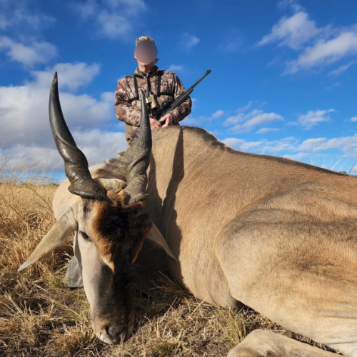 Eland trophy