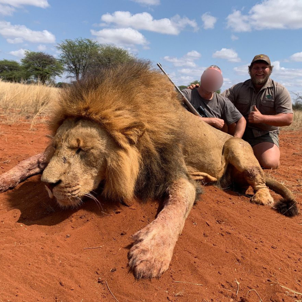 Limpopo hunt