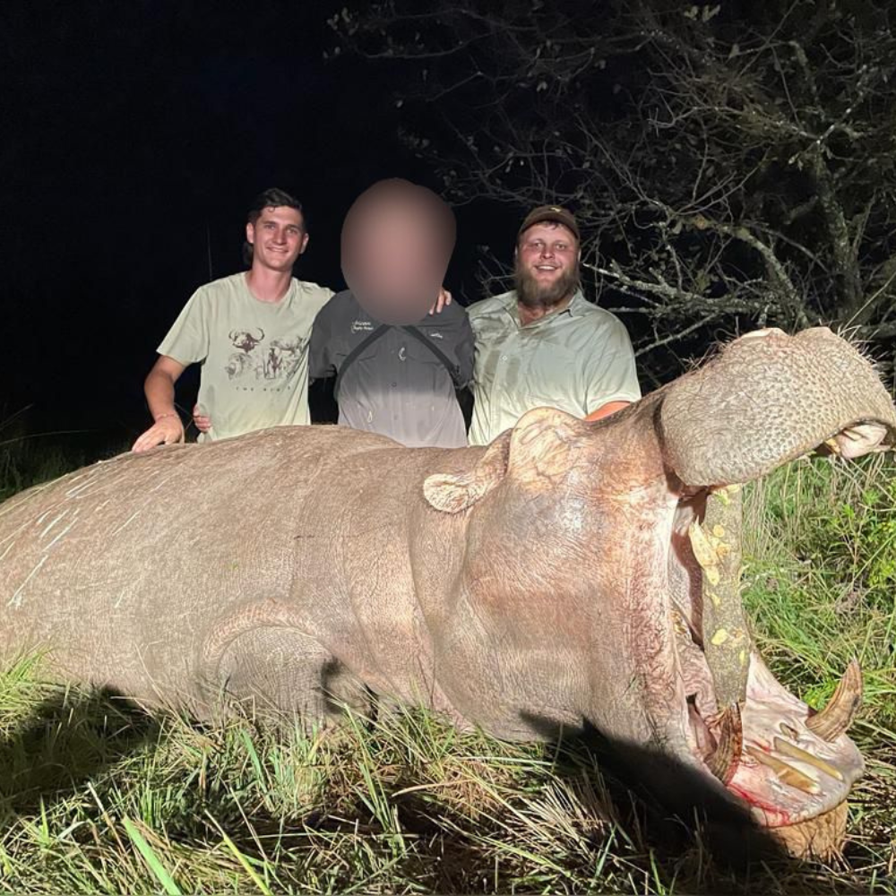 Trophy hunt
