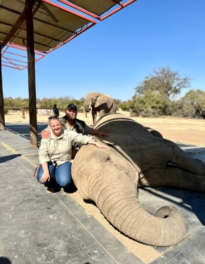 Up close with a gentle giant