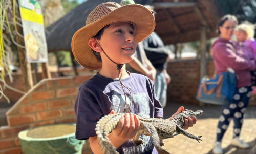 Crocodile Viewing & Feeding
