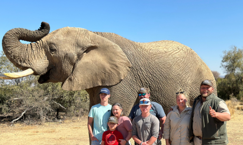 Guests with an elephant at Olive Creek Safaris
