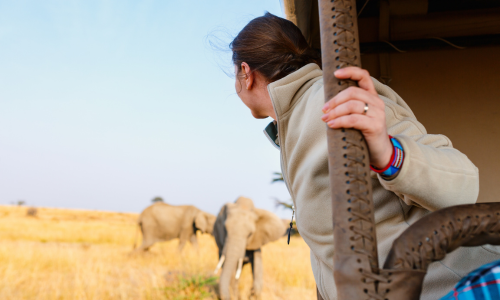 Game Drives