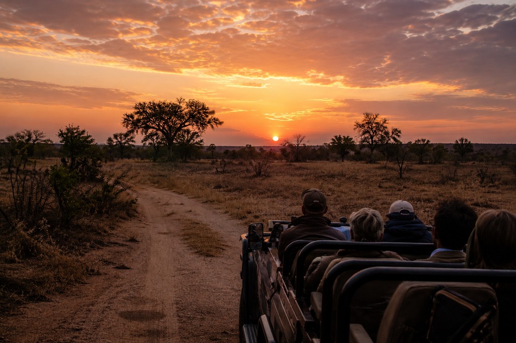 Safari game drive at sunset — Olive Creek Safaris