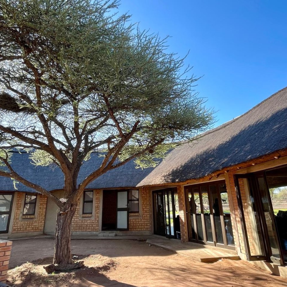 Lodge exterior with acacia tree